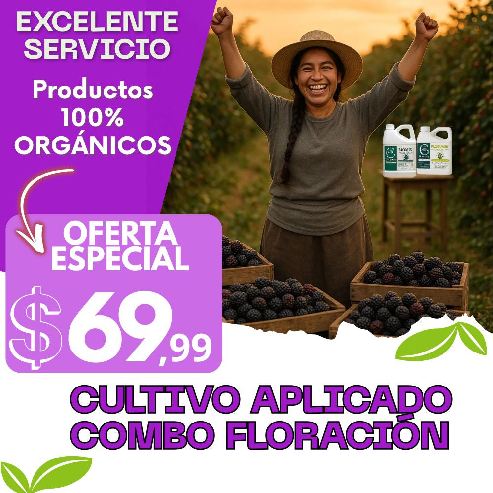 COMBO FLORACIÓN PARA EL CULTIVO DE MORA