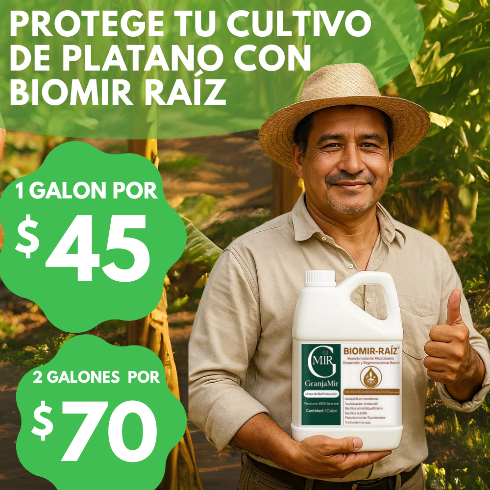 BIOMIR RAIZ ELIMINA PLAGAS DEL PLÁTANO
