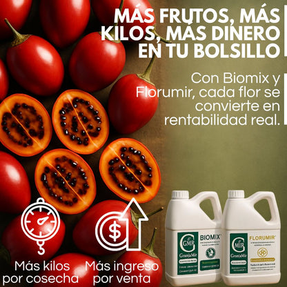 Combo Floración para tu cultivo de Tomate de Árbol