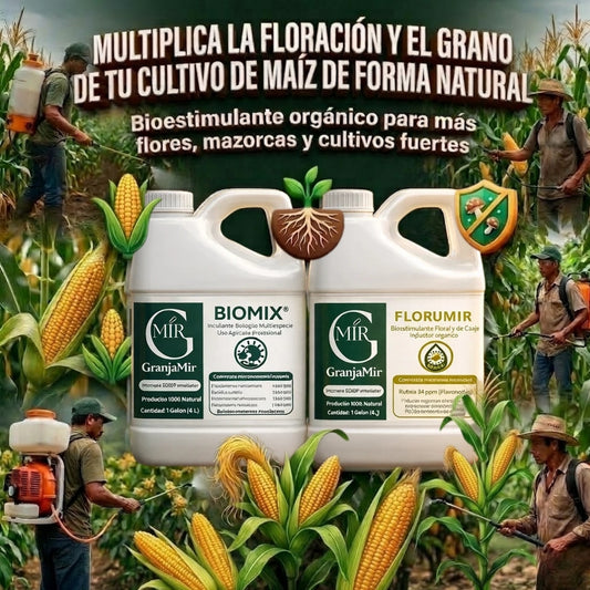 COMBO FLORACIÓN PARA CULTIVO DE MAÍZ