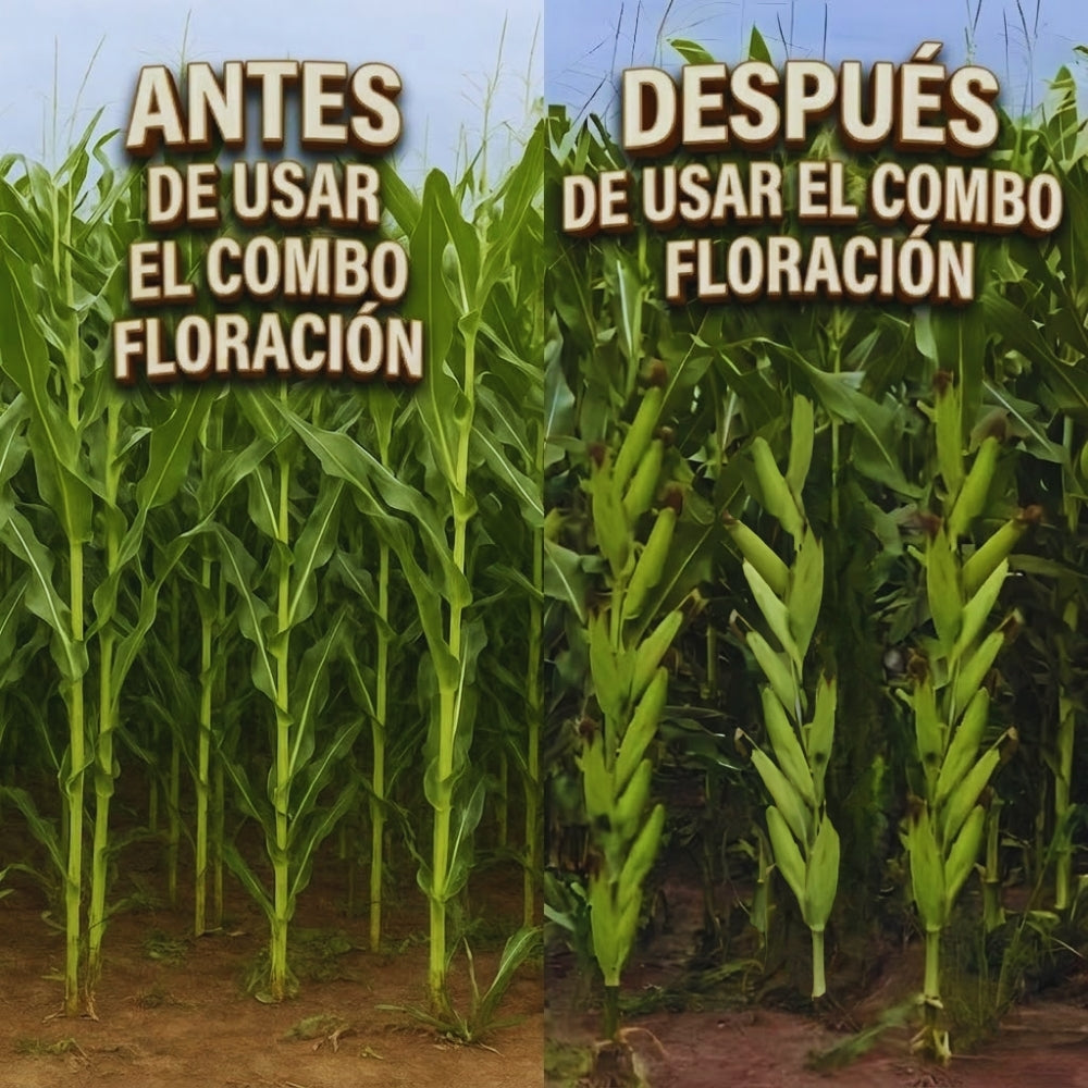 COMBO FLORACIÓN PARA CULTIVO DE MAÍZ