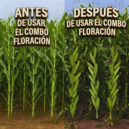 COMBO FLORACIÓN PARA CULTIVO DE MAÍZ