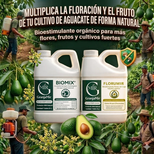 COMBO FLORACIÓN PARA CULTIVO DE AGUACATE