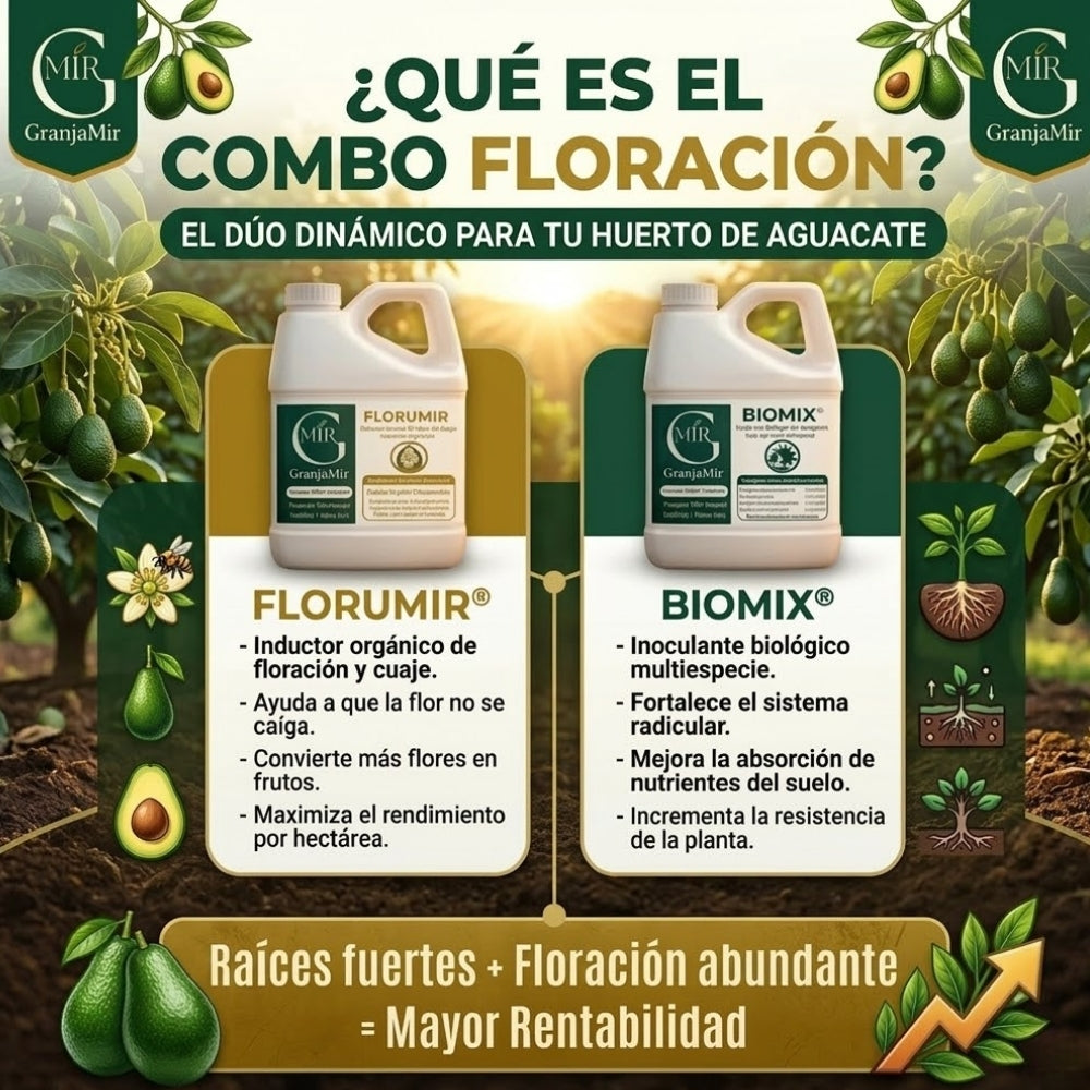 COMBO FLORACIÓN PARA CULTIVO DE AGUACATE
