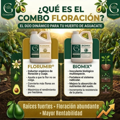 COMBO FLORACIÓN PARA CULTIVO DE AGUACATE