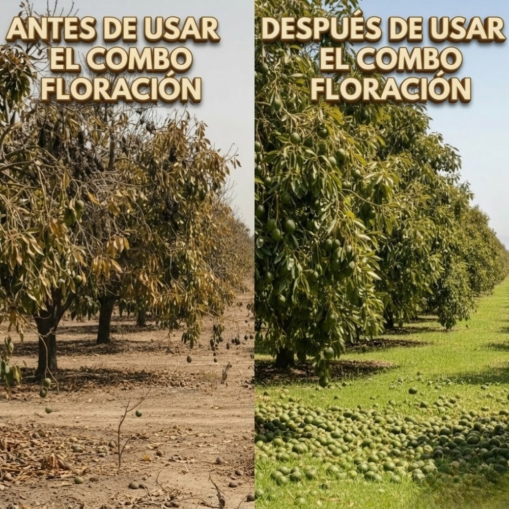 COMBO FLORACIÓN PARA CULTIVO DE AGUACATE