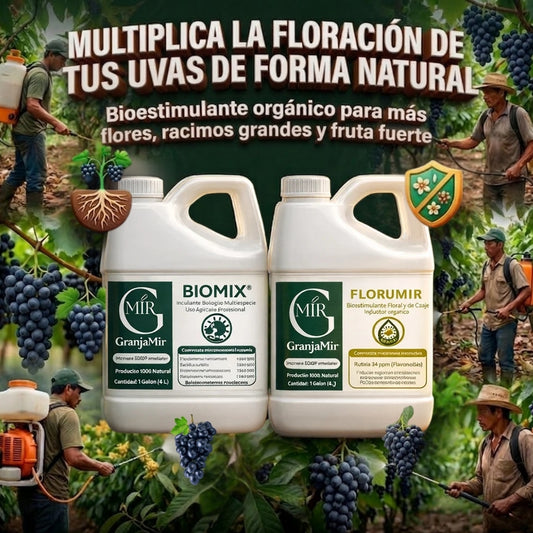 Combo floración para el cultivo de uva