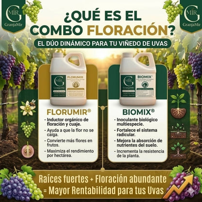 Combo floración para el cultivo de uva