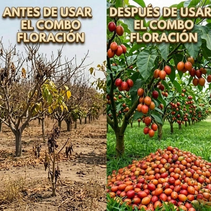 Combo Floración para tu cultivo de Tomate de Árbol