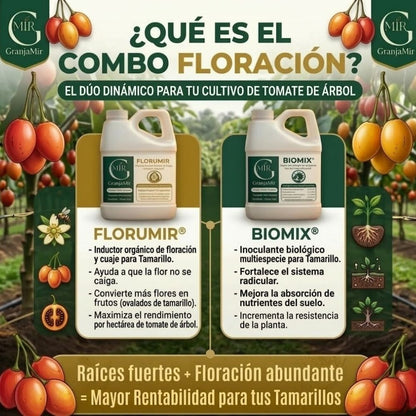 Combo Floración para tu cultivo de Tomate de Árbol