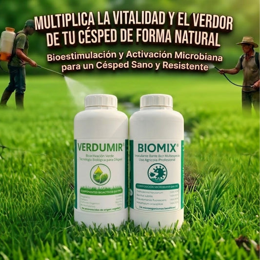 COMBO VERDOR TOTAL