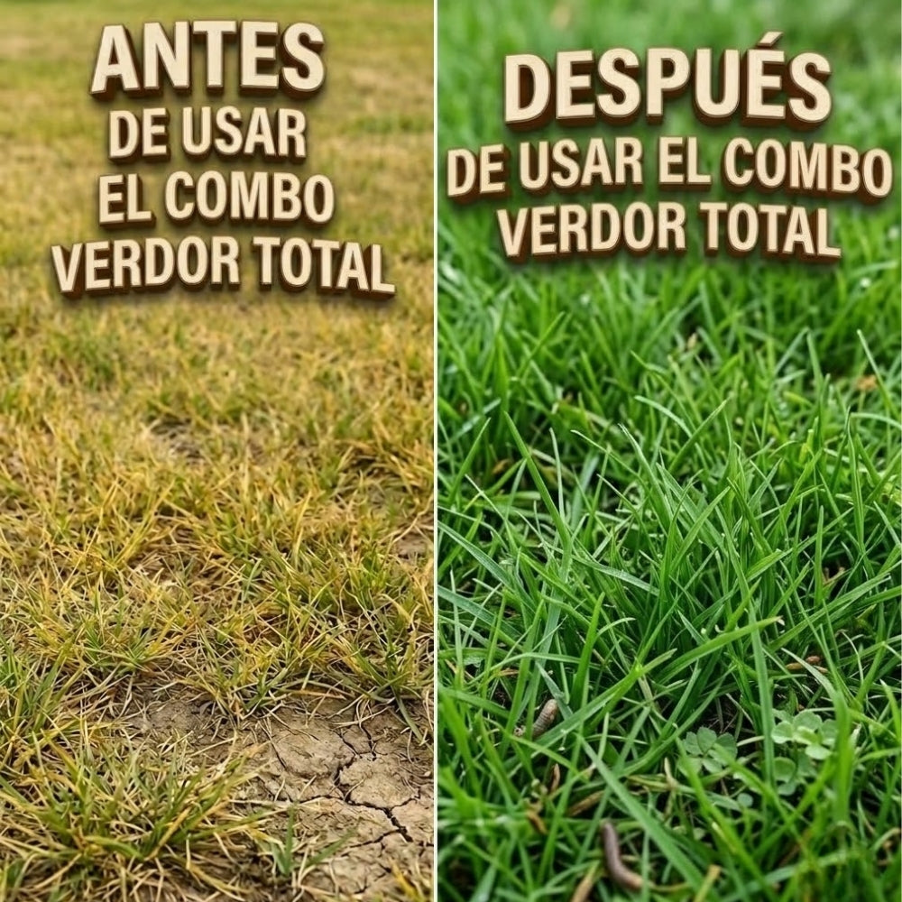 COMBO VERDOR TOTAL