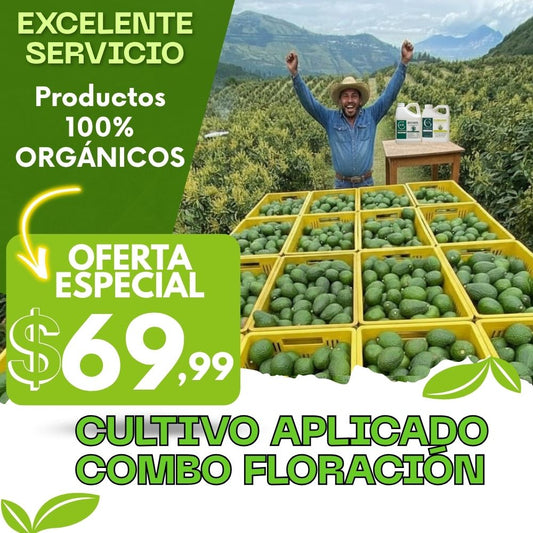 COMBO FLORACIÓN PARA CULTIVO DE AGUACATE