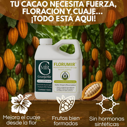 FLORUMIR