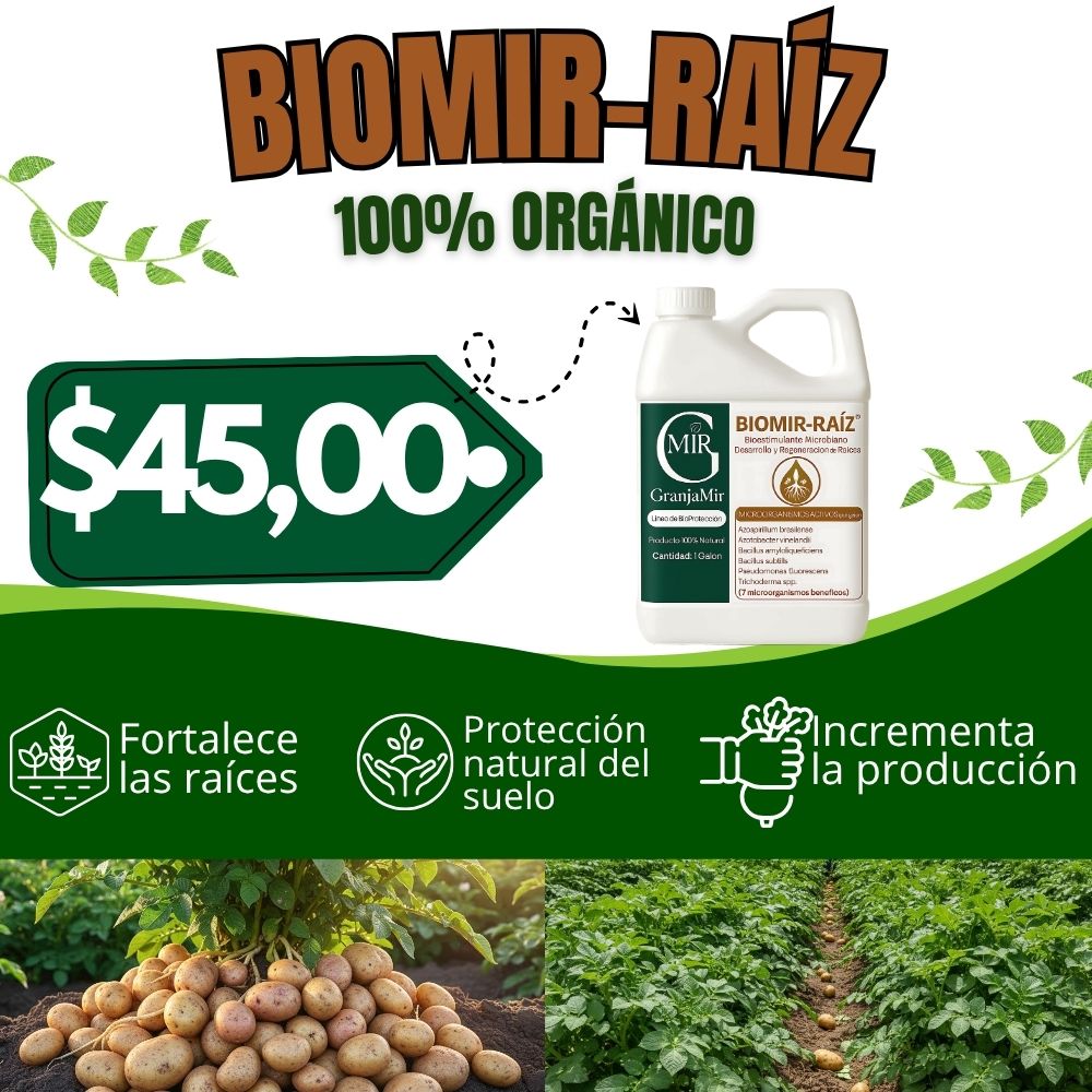 BIOMIR RAIZ PARA ELIMINAR PLAGAS DEL CULTIVO DE PAPAS