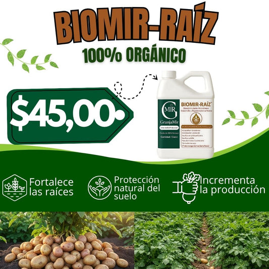 BIOMIR RAIZ PARA ELIMINAR PLAGAS DEL CULTIVO DE PAPAS