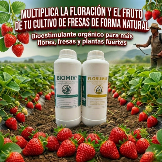 Combo floración para el cultivo de fresa