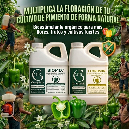 Combo floración para el cultivo de pimiento