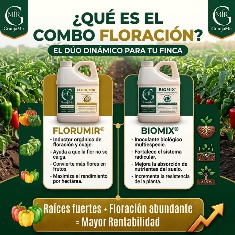 Combo floración para el cultivo de pimiento