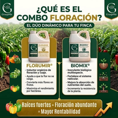 Combo floración para el cultivo de pimiento