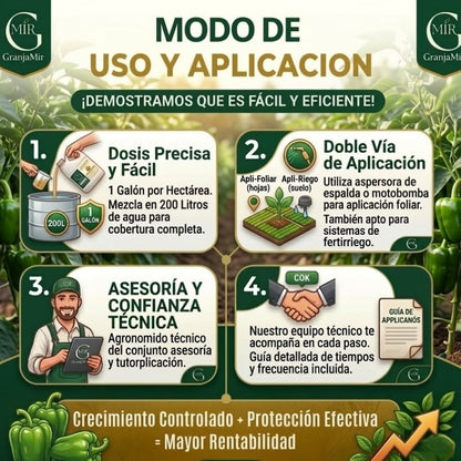 Combo floración para el cultivo de pimiento