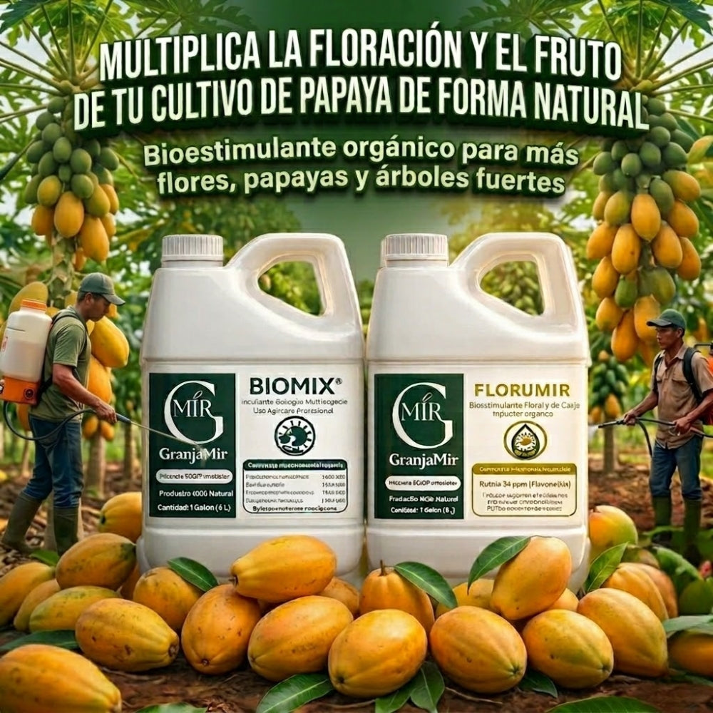 COMBO FLORACIÓN PARA CULTIVO DE PAPAYA