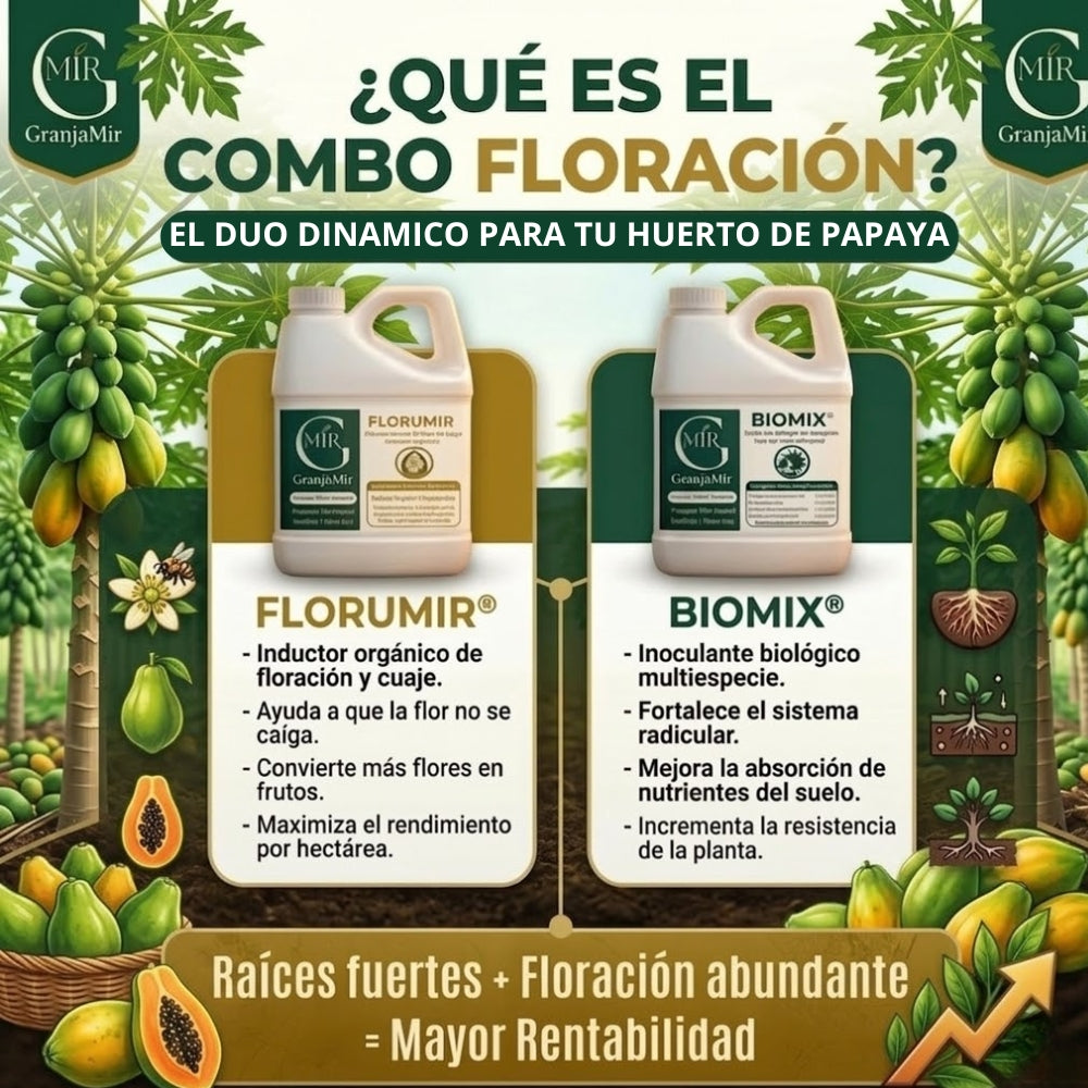 COMBO FLORACIÓN PARA CULTIVO DE PAPAYA
