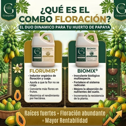 COMBO FLORACIÓN PARA CULTIVO DE PAPAYA