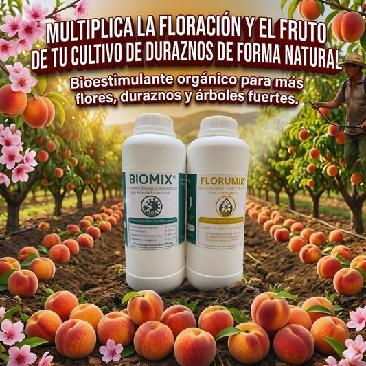 COMBO FLORACION DE LITRO PARA EL CULTIVO DE DURAZNO