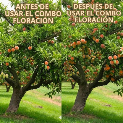 COMBO FLORACION DE LITRO PARA EL CULTIVO DE DURAZNO
