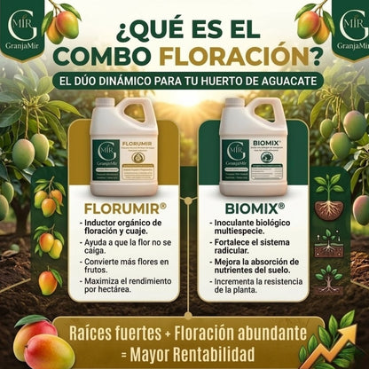 COMBO FLORACIÓN PARA CULTIVO DE MANGO