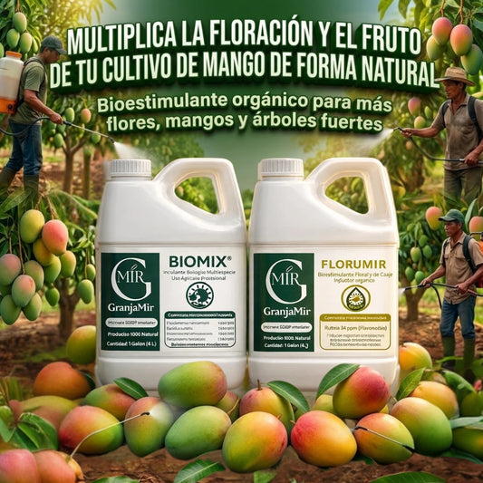 COMBO FLORACIÓN PARA CULTIVO DE MANGO