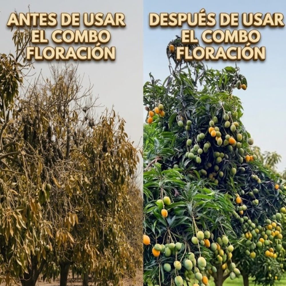 COMBO FLORACIÓN PARA CULTIVO DE MANGO
