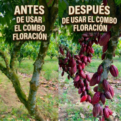 SUPER COMBO FLORACIÓN  FLORUMIR + BIOMIX